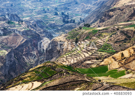 the mountain canyon 40883093