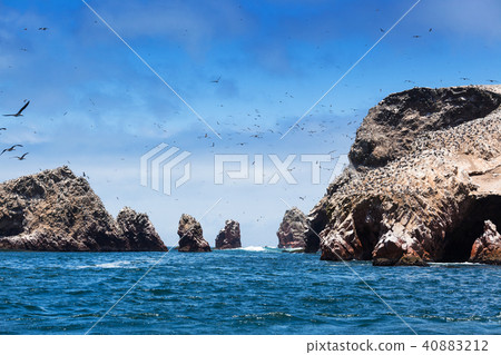 ocean and birds on sunny day ocean and birds on sunny day 40883212