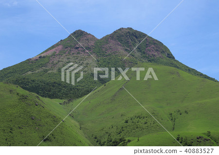 Yufu-dake of fresh green Yufu-dake of fresh green 40883527