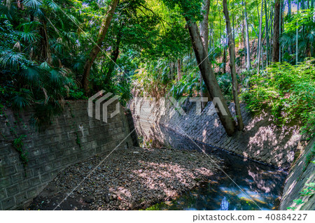 [Tokyo] Yutozumi Valley 40884227