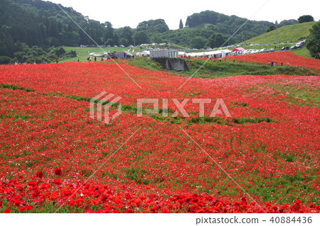 The sky of the sky 40884436