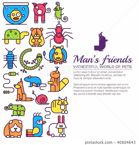 Animal flat thin line illustration icons set. Animal flat thin line illustration icons set. 40884643