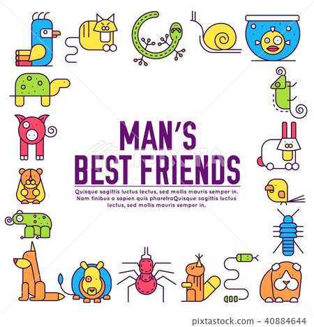 Animal flat thin line illustration icons set. Animal flat thin line illustration icons set. 40884644