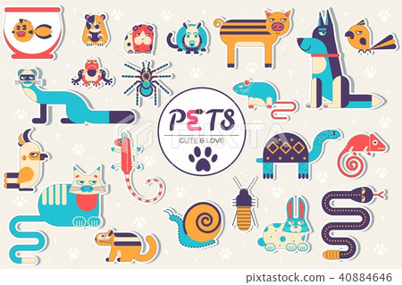 Pets illustration concept. Wildlife and home zoo Pets illustration concept. Wildlife and home zoo 40884646