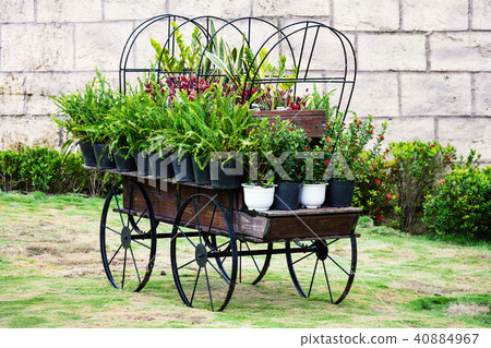 carriage with flowers 40884967