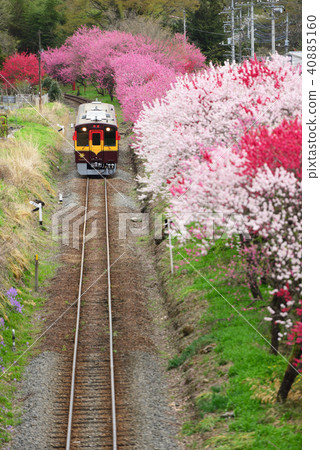Watarase Valley Journey along the railroad 40885160