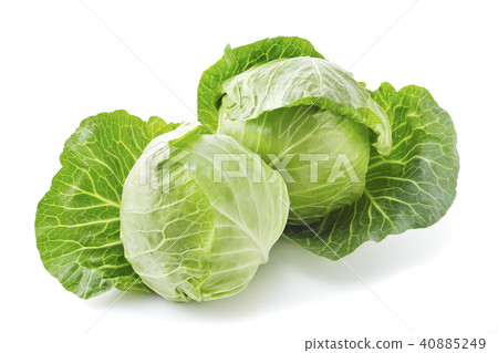 捲心菜 40885249