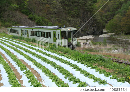 Koumi Line Sakuhirose Station 40885584