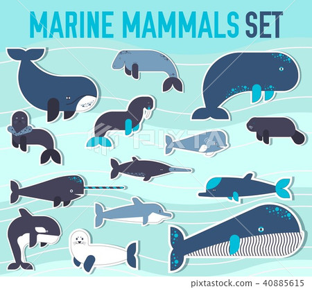 Sea mammals animal collection icons set.  40885615