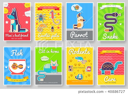 Animal vector brochure cards set. Home pets 40886727