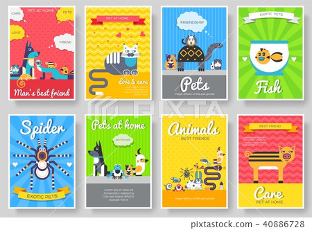 Animal vector brochure cards set. Home pets Animal vector brochure cards set. Home pets 40886728