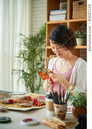 Creative hobby 40887228