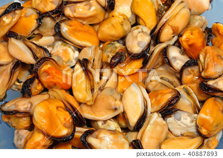 Mussels 40887893