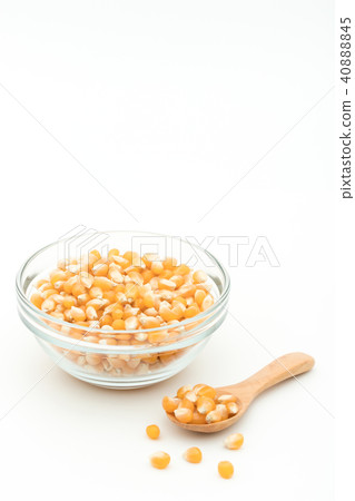 爆米花仁：黃色爆米花仁 40888845