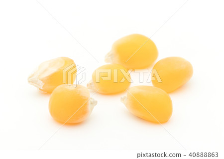 爆米花仁：黃色爆米花仁 40888863