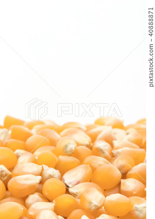 爆米花仁：黃色爆米花仁 40888871