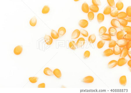 爆米花仁：黃色爆米花仁 40888873