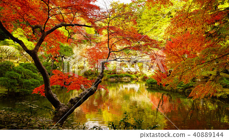 成田山 - 秋葉 40889144