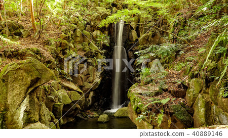 Naritasan / Waterfall 40889146