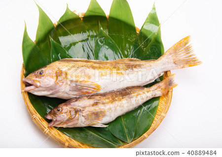 Ainame Foodstuff Ainame Foodstuff 40889484