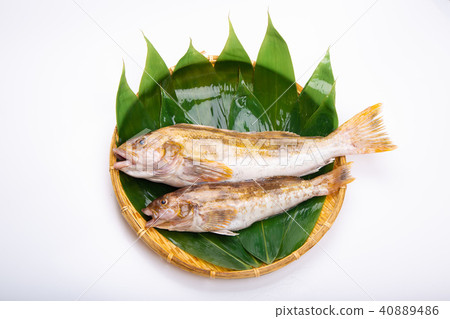 Ainame Foodstuff Ainame Foodstuff 40889486