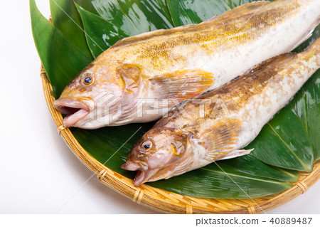 Ainame Foodstuff 40889487