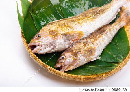 Ainame Foodstuff 40889489