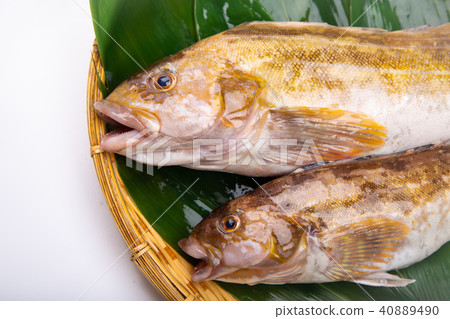 Ainame Foodstuff 40889490