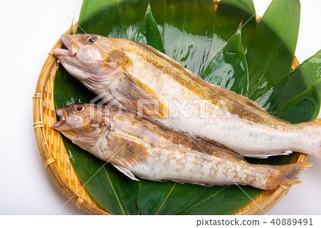 Ainame Foodstuff 40889491