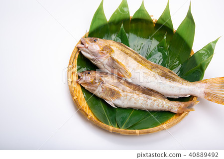 Ainame Foodstuff Ainame Foodstuff 40889492
