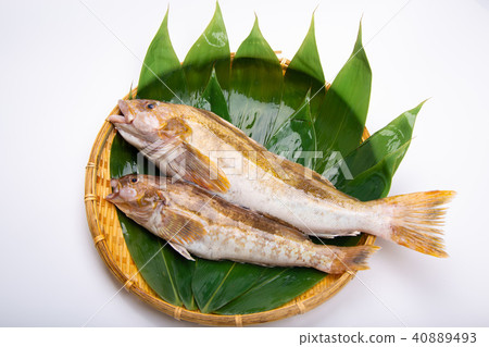 Ainame Foodstuff 40889493