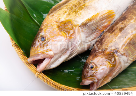 Ainame Foodstuff 40889494