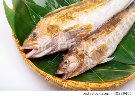 Ainame Foodstuff Ainame Foodstuff 40889495