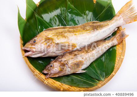 Ainame Foodstuff 40889496