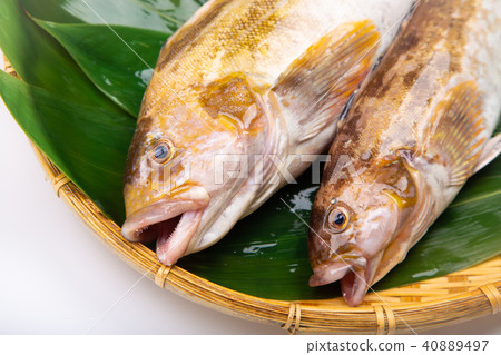 Ainame Foodstuff Ainame Foodstuff 40889497