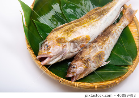 Ainame Foodstuff 40889498