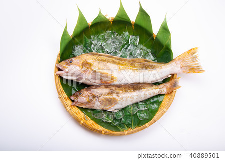 Ainame Foodstuff Ainame Foodstuff 40889501