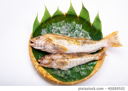 Ainame Foodstuff Ainame Foodstuff 40889502