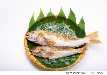 Ainame Foodstuff 40889503