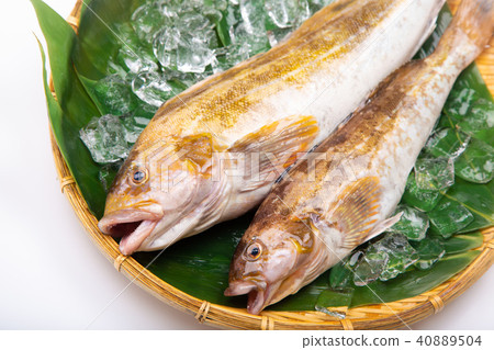Ainame Foodstuff 40889504
