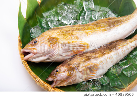 Ainame Foodstuff Ainame Foodstuff 40889506