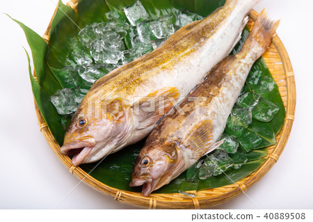 Ainame Foodstuff Ainame Foodstuff 40889508