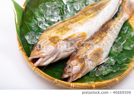 Ainame Foodstuff Ainame Foodstuff 40889509