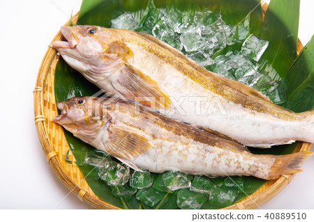 Ainame Foodstuff Ainame Foodstuff 40889510