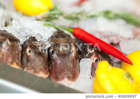 Fish with vegetables on ice. Fish with vegetables on ice. 40889997