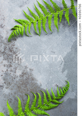 Gray textured background with green fern leaves 40890766