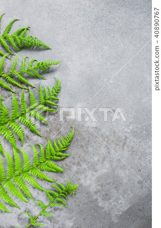 Gray textured background with green fern leaves 40890767