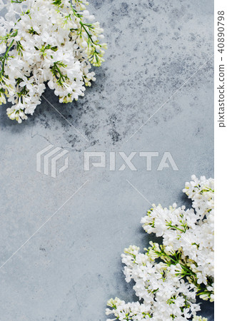 Textured gray background with brunches of lilac Textured gray background with brunches of lilac 40890798