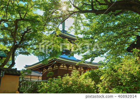Gokokuji Treasure Tower 40892014