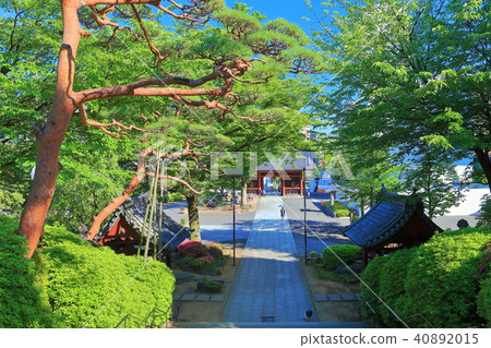 Gokokuji Temple 40892015